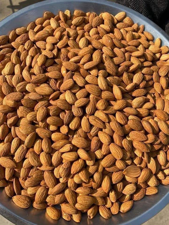 Premium Badamgiri (Almond Kernels) – Crunchy, Fresh & Nutrient-Rich Almonds