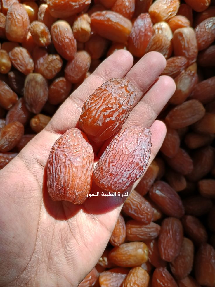 Premium Chuara (Dry Dates) – Naturally Sweet, Energy-Rich & Nutrient-Dense Dry Fruits 500g