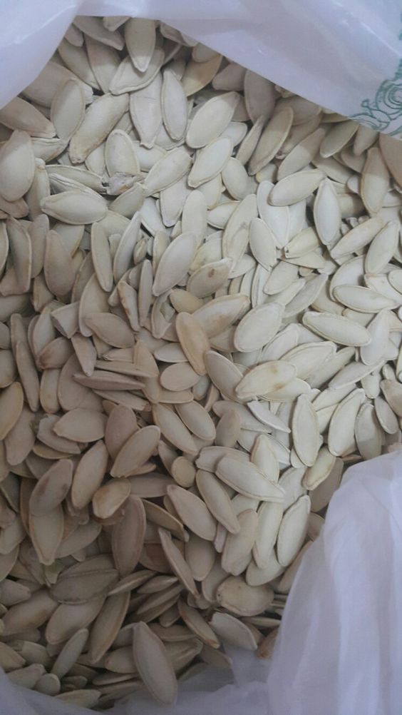 Premium Muskmelon Seeds (Kharbuja Magaj) – Fresh, Crunchy & Protein-Rich Healthy Seeds 500g