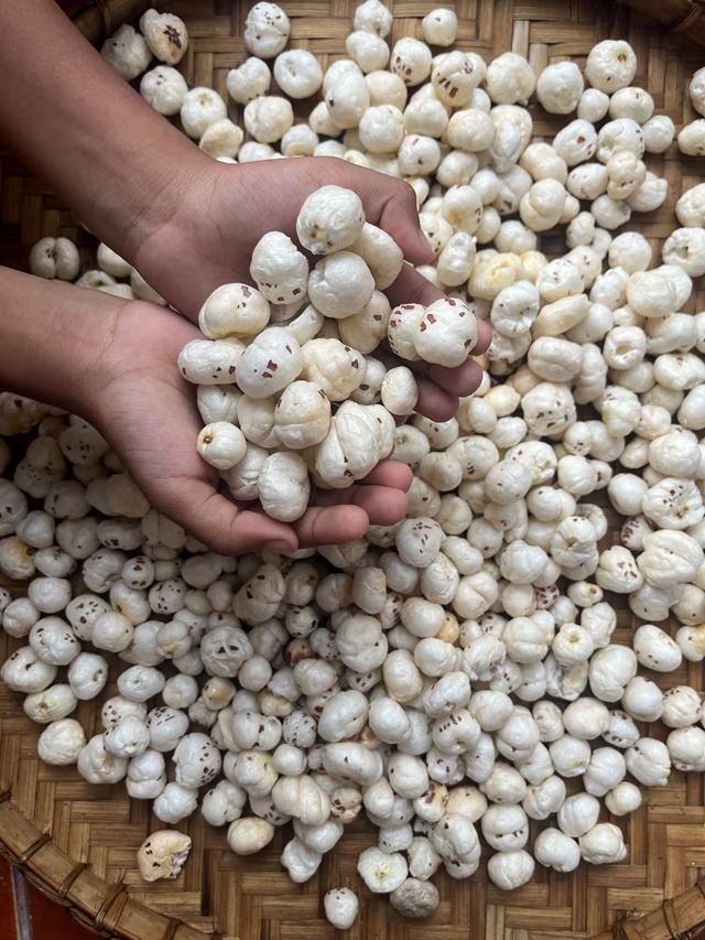 Premium Handpick Makhana (Fox Nuts) – Fresh, Crunchy & Healthy Roasted Snack 500g