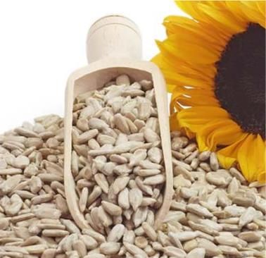 Premium Sunflower Seeds – Fresh, Crunchy & Nutrient-Rich Healthy Seeds 500g
