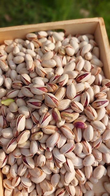 Premium Pistachios (Pista) – Fresh, Crunchy & Nutrient-Rich Dry Fruits 500g