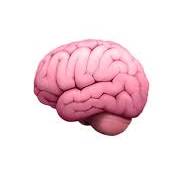 Personalized Nutrition