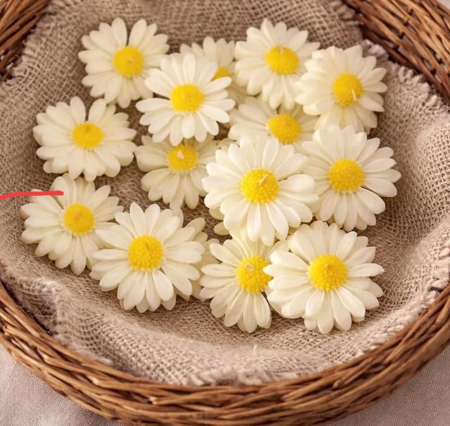Artificial Daisy Flower Candels (Set of 10)