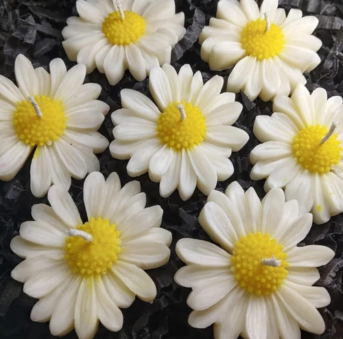 Artificial Daisy Flower Candels (Set of 10)